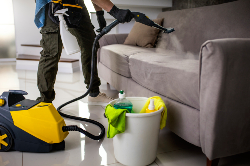 Professional Housekeeping Services